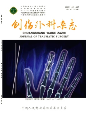 创伤外科杂志杂志